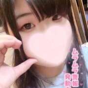 ヒメ日記 2025/09/01 07:55 投稿 こもも 新宿サンキュー