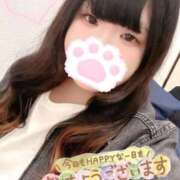 ヒメ日記 2025/11/07 08:22 投稿 こもも 新宿サンキュー