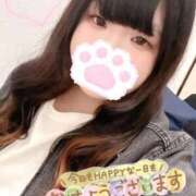 こもも 密会🤭 新宿サンキュー