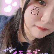 ヒメ日記 2026/03/18 06:12 投稿 こもも 新宿サンキュー