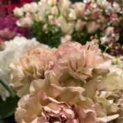 ヒメ日記 2025/08/27 20:26 投稿 森永　さきこ エテルナ京都