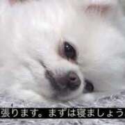 ヒメ日記 2025/08/01 03:08 投稿 やみ【ゴールドアロー】 Arrows 苫小牧・千歳店