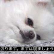 ヒメ日記 2025/08/19 03:28 投稿 やみ【ゴールドアロー】 Arrows 苫小牧・千歳店