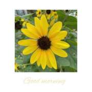 ヒメ日記 2025/08/16 09:26 投稿 はなみ 艶熟妻 京都店