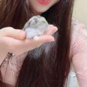 ヒメ日記 2025/08/05 08:14 投稿 マッチング〜素敵な1日が始まる〜 GOOD-グッド-