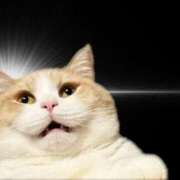 ヒメ日記 2025/08/30 14:10 投稿 マッチング〜素敵な1日が始まる〜 GOOD-グッド-