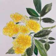 ヒメ日記 2025/09/11 04:08 投稿 マッチング〜素敵な1日が始まる〜 GOOD-グッド-