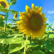 ヒメ日記 2025/09/04 20:52 投稿 かおり 五反田人妻ヒットパレード（シンデレラグループ）