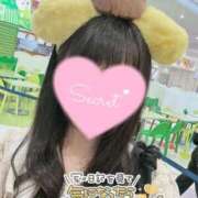 ヒメ日記 2025/11/07 07:33 投稿 ななせ 府中ダービー