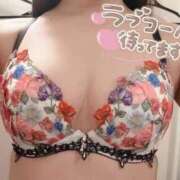 ヒメ日記 2026/02/11 07:43 投稿 ななせ 府中ダービー