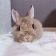 ヒメ日記 2026/07/31 00:00 投稿 あいり 東京メンズボディクリニックTMBC八王子店