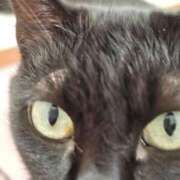 ヒメ日記 2025/09/26 12:45 投稿 後藤 熟女待機所 厚木店