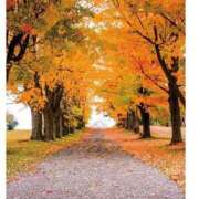 ヒメ日記 2025/11/06 10:26 投稿 後藤 熟女待機所 厚木店