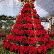 ヒメ日記 2025/12/09 08:45 投稿 後藤 熟女待機所 厚木店