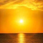 ヒメ日記 2026/02/20 10:25 投稿 後藤 熟女待機所 厚木店