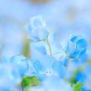 ヒメ日記 2026/03/10 09:46 投稿 後藤 熟女待機所 厚木店