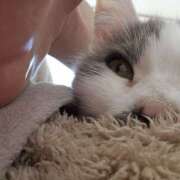 ヒメ日記 2026/03/18 09:46 投稿 後藤 熟女待機所 厚木店