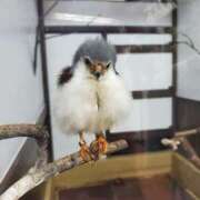 ヒメ日記 2026/03/19 09:26 投稿 後藤 熟女待機所 厚木店