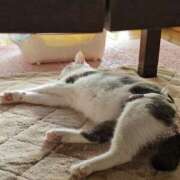 ヒメ日記 2026/03/21 14:26 投稿 後藤 熟女待機所 厚木店