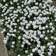 後藤 来週のシフト出しました↓ 熟女待機所 厚木店