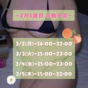 ヒメ日記 2026/02/26 17:01 投稿 つばき 東京メンズボディクリニックTMBC八王子店