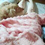 ヒメ日記 2025/08/19 05:20 投稿 あやか One More奥様 大宮店