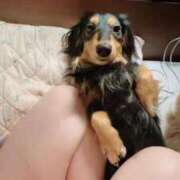 ヒメ日記 2025/08/22 05:20 投稿 あやか One More奥様 大宮店