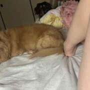 ヒメ日記 2025/08/23 05:20 投稿 あやか One More奥様 大宮店