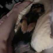 ヒメ日記 2025/08/25 05:00 投稿 あやか One More奥様 大宮店