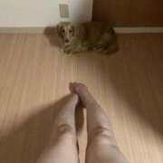 ヒメ日記 2025/08/26 04:50 投稿 あやか One More奥様 大宮店