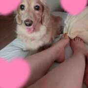 ヒメ日記 2025/09/10 05:50 投稿 あやか One More奥様 大宮店