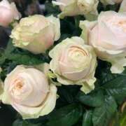 ヒメ日記 2026/03/21 08:30 投稿 あやか One More奥様 大宮店