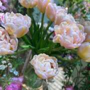 ヒメ日記 2026/04/19 11:23 投稿 あやか One More奥様 大宮店