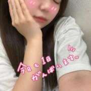 ヒメ日記 2025/09/08 11:32 投稿 はるの 東京メンズボディクリニックTMBC八王子店