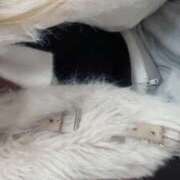 ヒメ日記 2025/12/18 20:51 投稿 さき 船橋ときめき女学園