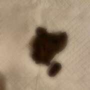 ヒメ日記 2025/08/17 15:07 投稿 なみ 排泄マニア大阪店 排泄マニア