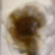 ヒメ日記 2025/09/02 09:14 投稿 なみ 排泄マニア大阪店 排泄マニア