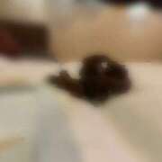 ヒメ日記 2025/09/08 07:24 投稿 なみ 排泄マニア大阪店 排泄マニア