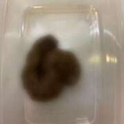 なみ 排泄マニア大阪店 本日の出勤♡ 排泄マニア