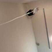 ヒメ日記 2025/11/07 16:02 投稿 橋元あやな 恋する奥さん 西中島店