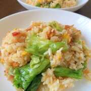 ヒメ日記 2025/11/10 19:23 投稿 橋元あやな 恋する奥さん 西中島店