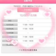 ヒメ日記 2025/12/02 12:31 投稿 橋元あやな 恋する奥さん 西中島店