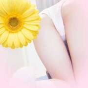 ヒメ日記 2025/11/29 19:39 投稿 湊いつき 五反田ヒーローズ（ユメオト）