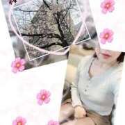 ヒメ日記 2026/04/02 13:45 投稿 いろは 渋谷 風俗 奥様発情の会