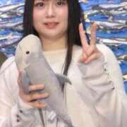 ヒメ日記 2026/01/04 23:31 投稿 ペタンコ 【福岡デリヘル】20代・30代★博多で評判のお店はココです！