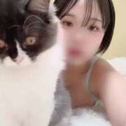 ヒメ日記 2025/08/06 19:03 投稿 TEMARI（てまり） UTAKATA