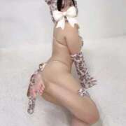 ヒメ日記 2026/03/04 18:03 投稿 TEMARI（てまり） UTAKATA