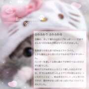 ヒメ日記 2026/04/11 20:33 投稿 TEMARI（てまり） UTAKATA