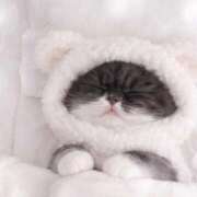 ヒメ日記 2026/04/16 17:59 投稿 TEMARI（てまり） UTAKATA