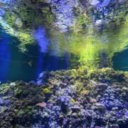 ヒメ日記 2025/09/15 00:05 投稿 ひな TALENT（タレント）